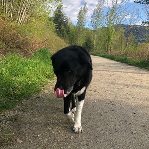 Meet your Posher, Sam